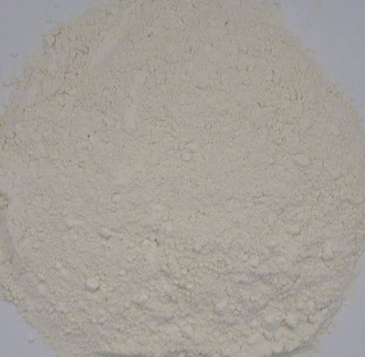 Sušený cibuľový prášok