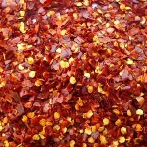 Biela cibuľová ružovka