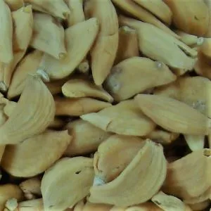 Jinxiang Organické Cesnak vyhral ďalšiu cenu