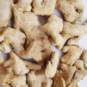 Sušený koreň zázvoru