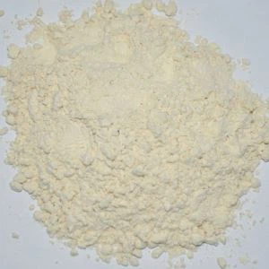 Cesnakový prášok zdravý