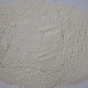 Prášok z bielej cibule